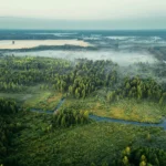 A serene aerial shot capturing a misty forest landscape in Minsk Region, Belarus.