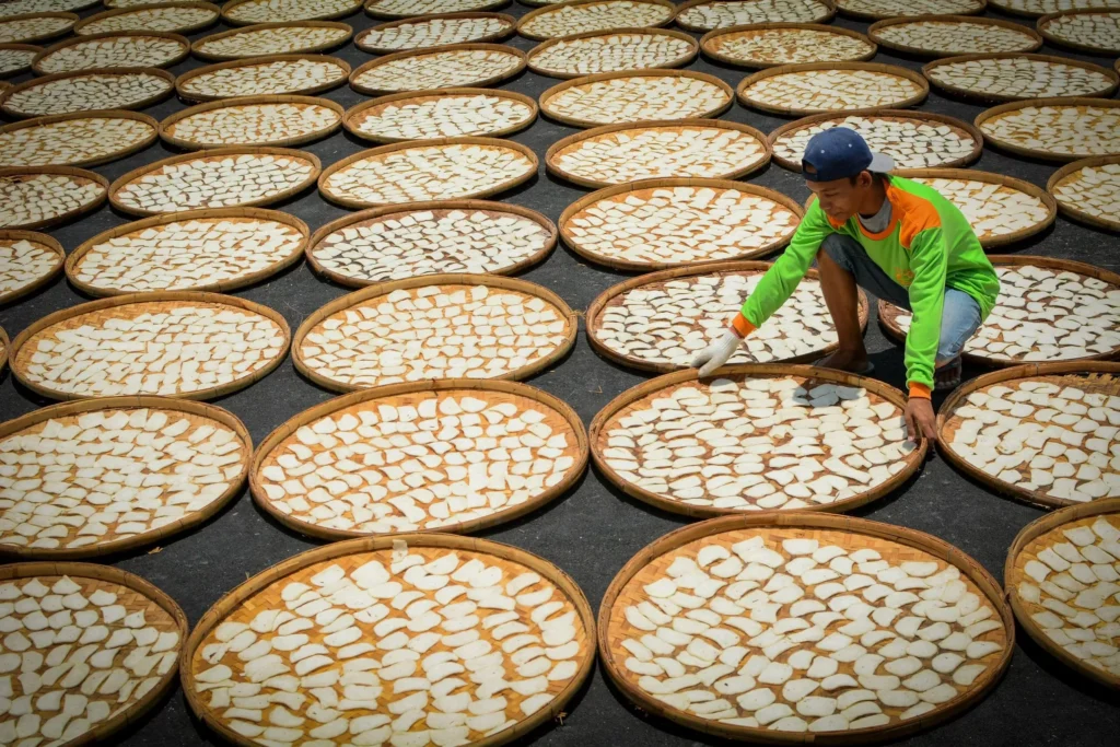 Man arranging fish crackers in a traditional setting in Indramayu, West Java, Indonesia.
