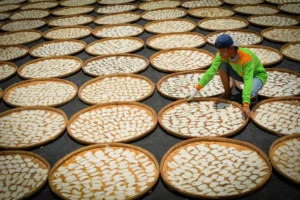 Man arranging fish crackers in a traditional setting in Indramayu, West Java, Indonesia.
